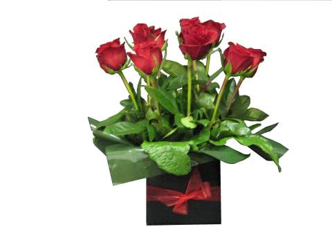 Roses Perth|Rose Delivery Perth|Same Day Rose Delivery Perth|Send Roses ...